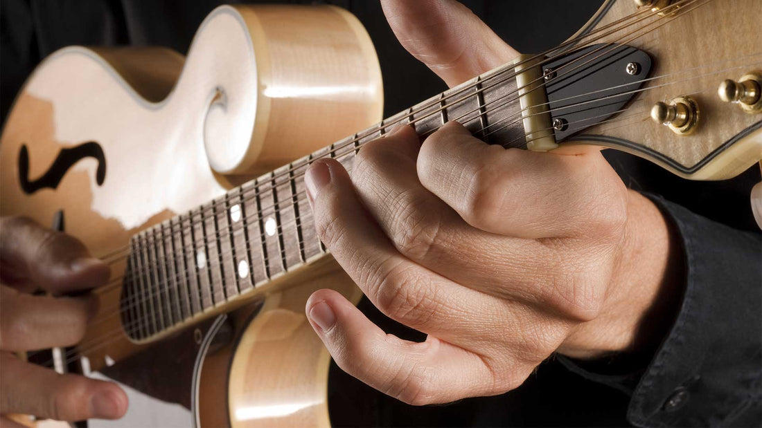Exploring the melodic diversity: A guide to the different kinds of mandolins